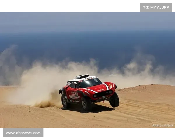 达喀尔拉力赛事故 达喀尔拉力赛事故视频